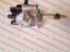 Picture of FN122884 Distributor for KOMATSU forklift truck FG28-12