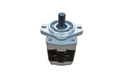 Picture of amazon photo