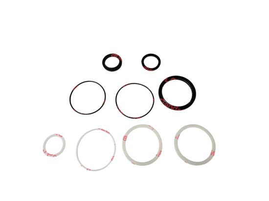 Picture of amazon photo