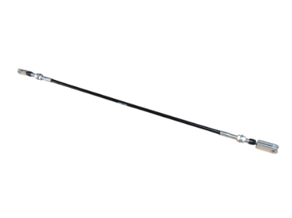 Picture of amazon photo